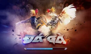 Đá Gà 3D tại SA88