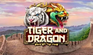 Dragon Tiger Kịch Tính Tại SA88